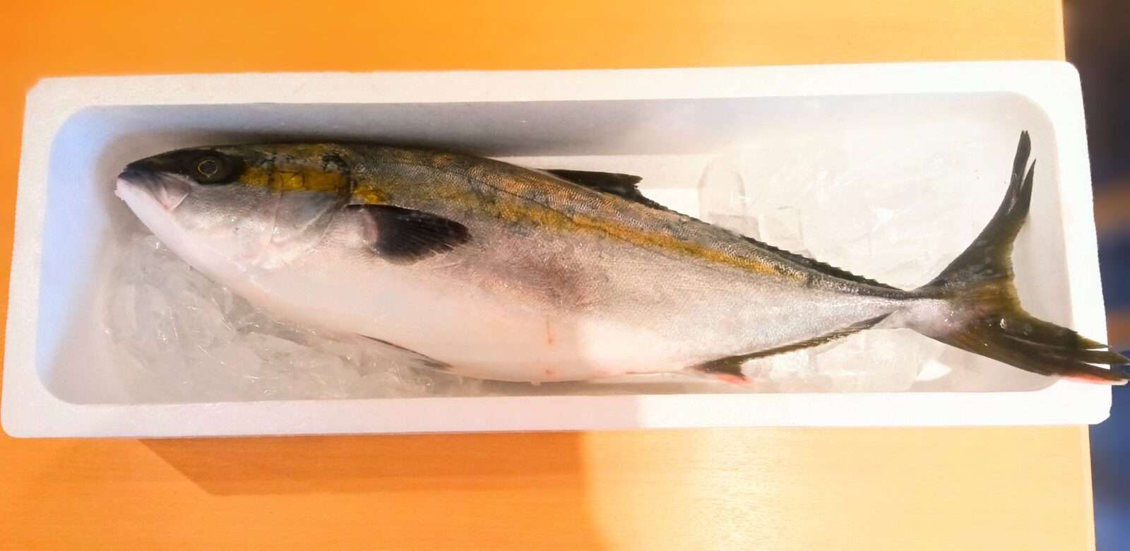 旬のブリ 入荷しています